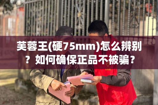 芙蓉王(硬75mm)怎么辨别？如何确保正品不被骗？